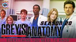 Grey's Anatomy Season 20: Everything You Need To Know - Premiere Next