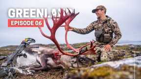 GIANT RED BULL 💥 BOWHUNTING CARIBOU 💥 GREENLAND HUNTING SERIES [EPISODE 06]