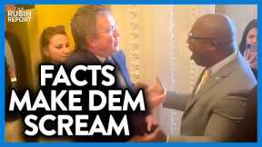 Dem Gets Enraged When Conservative Calmly Points Out Simple Facts | DM CLIPS | Rubin Report
