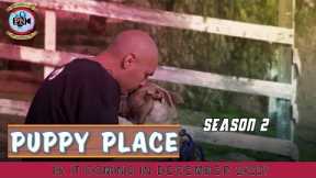 Puppy Place Season 2: Is It coming In December 2022? - Premiere Next