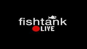 Fishtank | Day 5