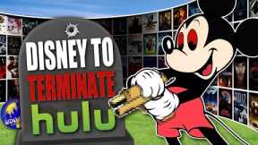 Disney Wants to Buy Hulu to DESTROY Hulu?! Sources Claim They'll Spend Billions to End the Platform!