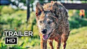 PET SEMATARY: BLOODLINES Official Trailer (2023) Horror Movie HD