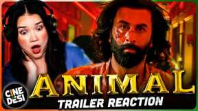 ANIMAL OFFICIAL TRAILER REACTION (by Achara) Ranbir Kapoor | Rashmika M | Anil K | Bobby Deol