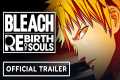Bleach Rebirth of Souls - Official