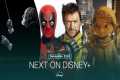 Next On Disney+ | November 2024