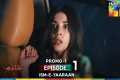 Ism-e-Yaraan - New Drama Promo -