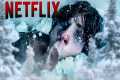 Top 10 HIGHEST RATED Netflix Movies