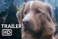 GOOD BOY Official Trailer (2025)