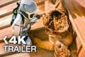 THE 10 BEST NEW MOVIE TRAILERS 2025