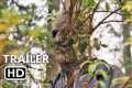 DIE ALONE Official Trailer (2024)