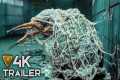 The Best Upcoming Movies 2026 &