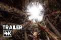 PITFALL Official Trailer (2026)