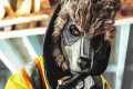 THE BEST NEW MOVIES 2026 (Trailers)