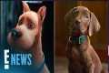 Scooby-Doo Fans Are Divided Over