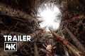 PITFALL Official Trailer 2 (2026)